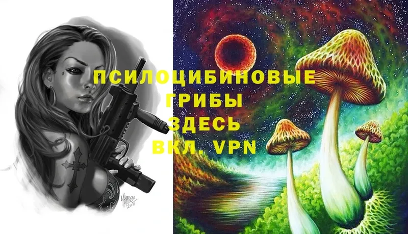 Псилоцибиновые грибы Psilocybe  где найти   Камышлов 